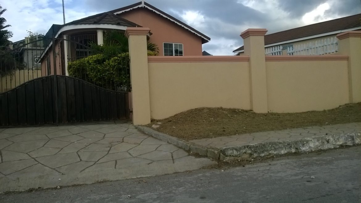 video image